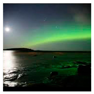 Marcelo Aquino - Flores para uma dama capa do cd